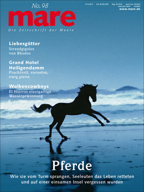 Cover mare 98