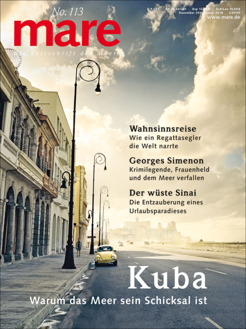 Cover mare 113