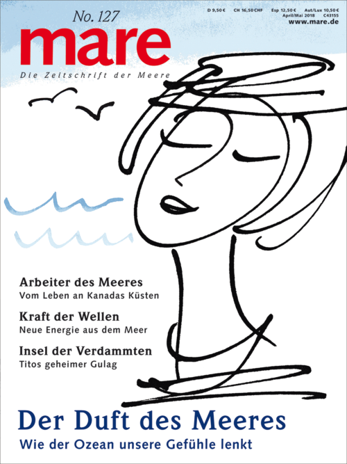 Cover mare 127