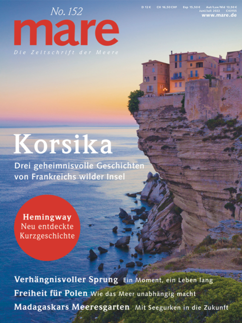 Cover mare 152