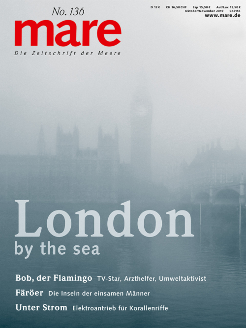 Cover mare 136