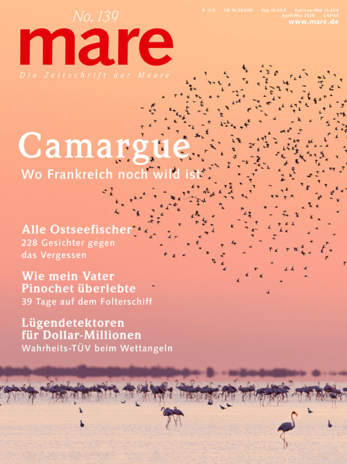Cover mare 139