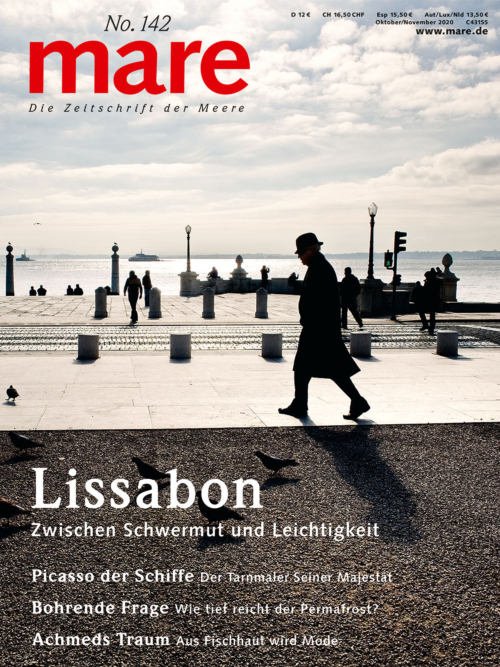 Cover mare 142