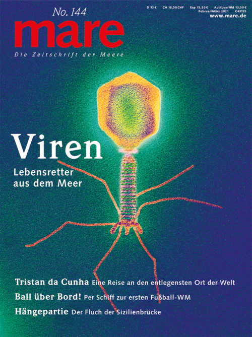Cover mare 144