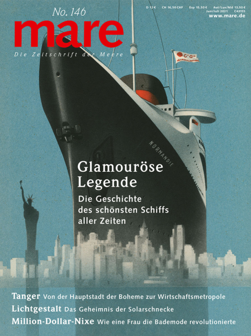 Cover mare 146