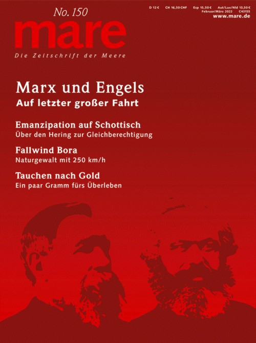 Cover mare 150