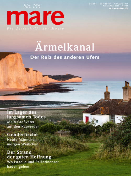 Cover mare 156
