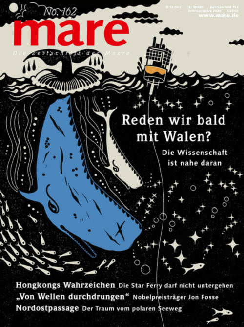 Cover mare 162