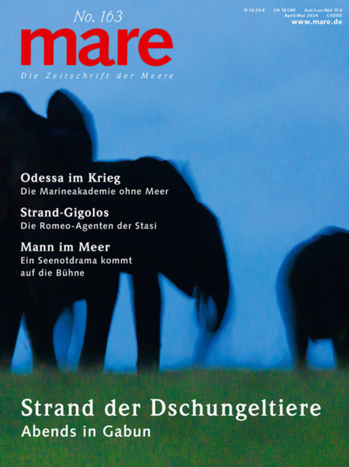 Cover mare 163