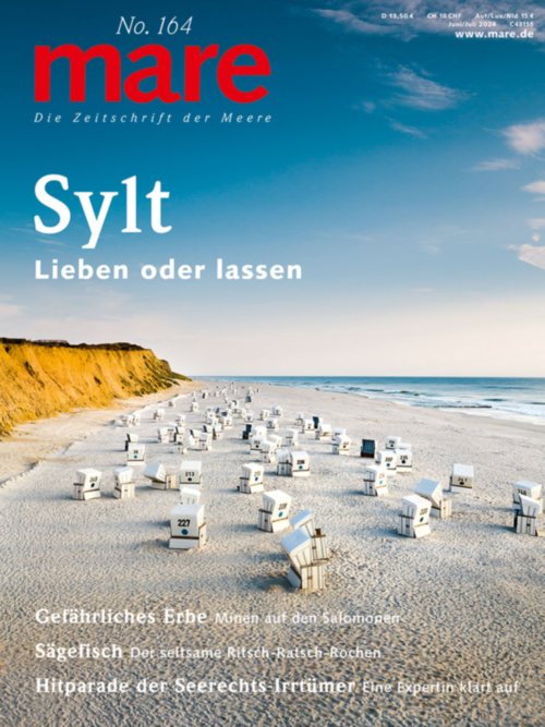 Cover mare 164