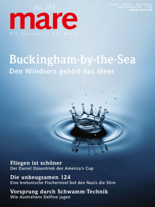 Cover mare 165