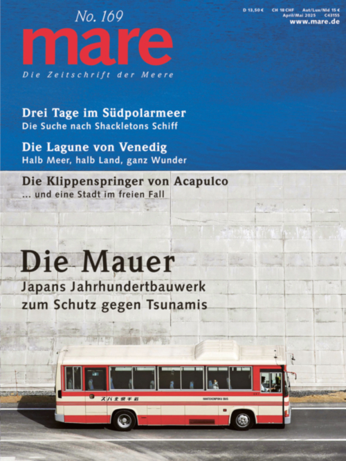 Cover mare 169