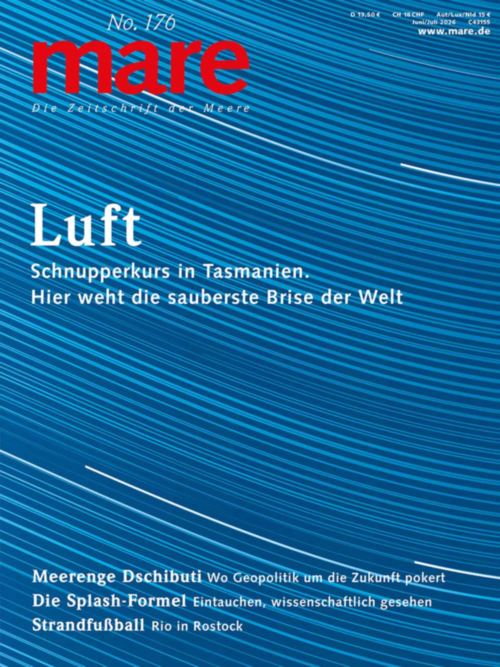 mare No. 176