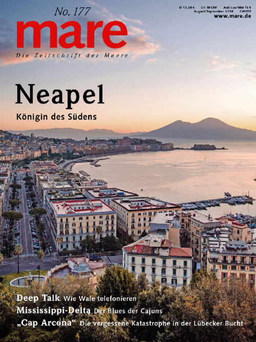 mare No. 177