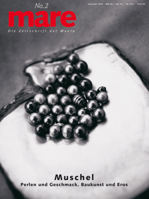 Cover mare 2
