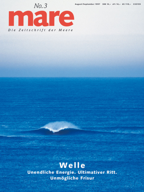 Cover mare 3