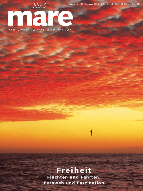Cover mare 5