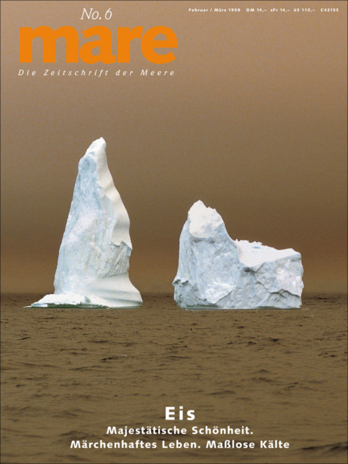 Cover mare 6