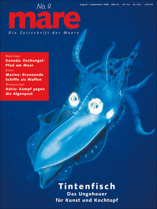Cover mare 9