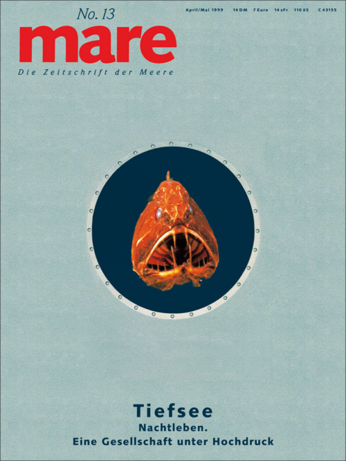 Cover mare 13