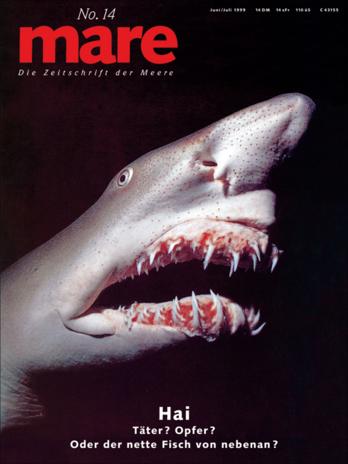 Cover mare 14