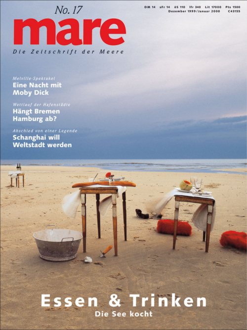 Cover mare 17