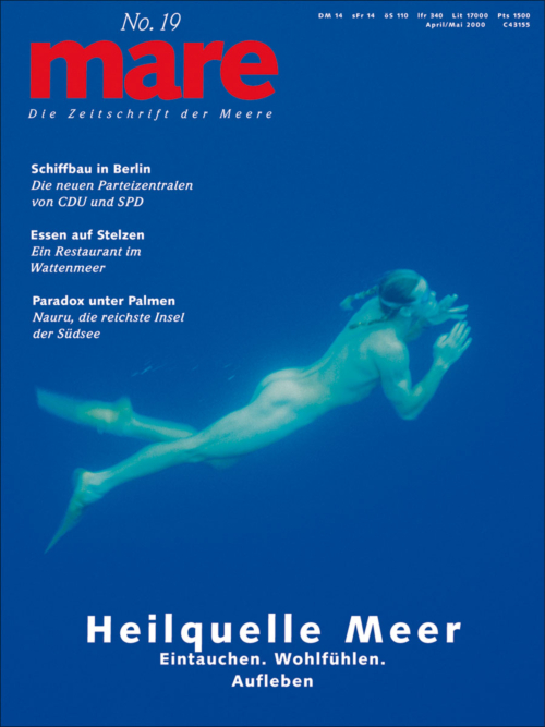 Cover mare 19