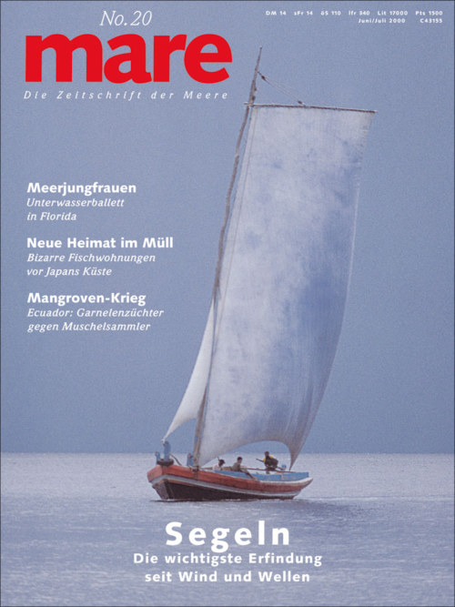 Cover mare 20