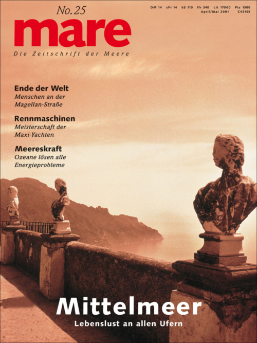 Cover mare 25
