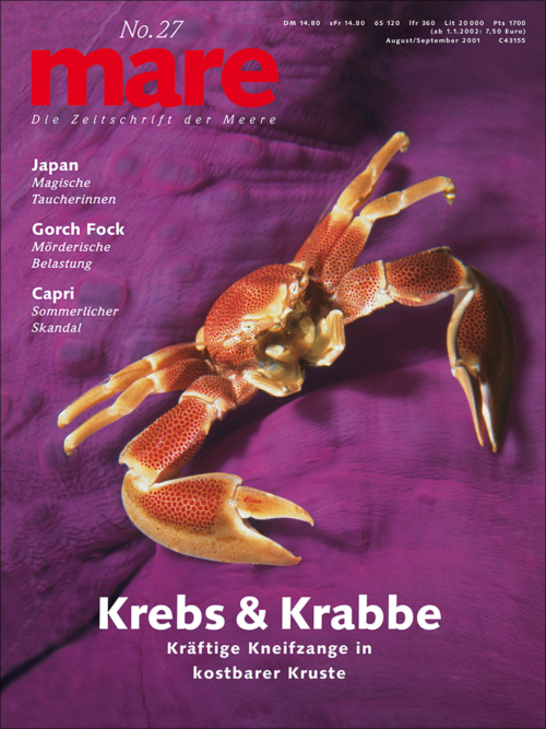Cover mare 27