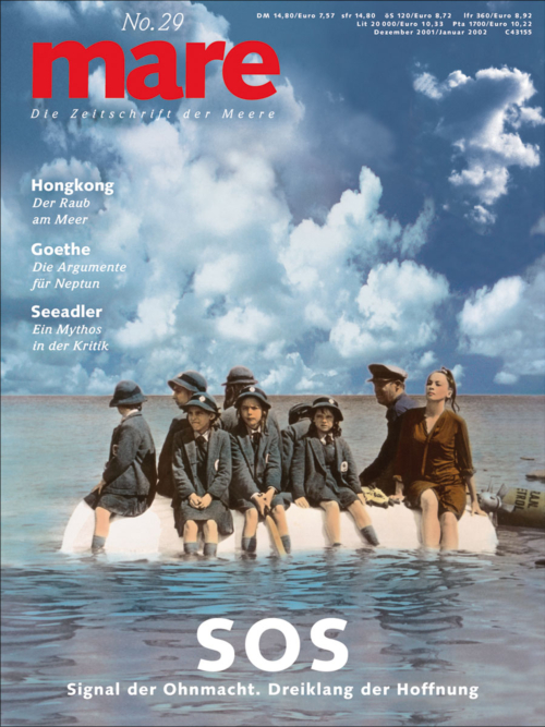 Cover mare 29