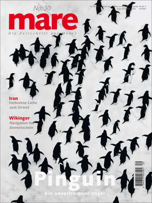 Cover mare 30