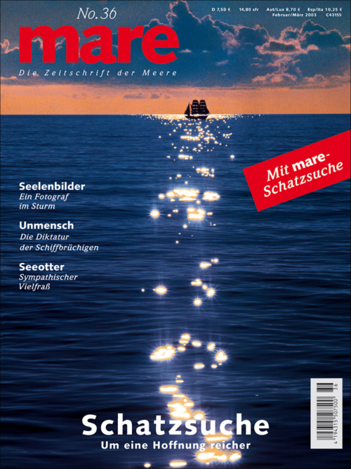 Cover mare 36