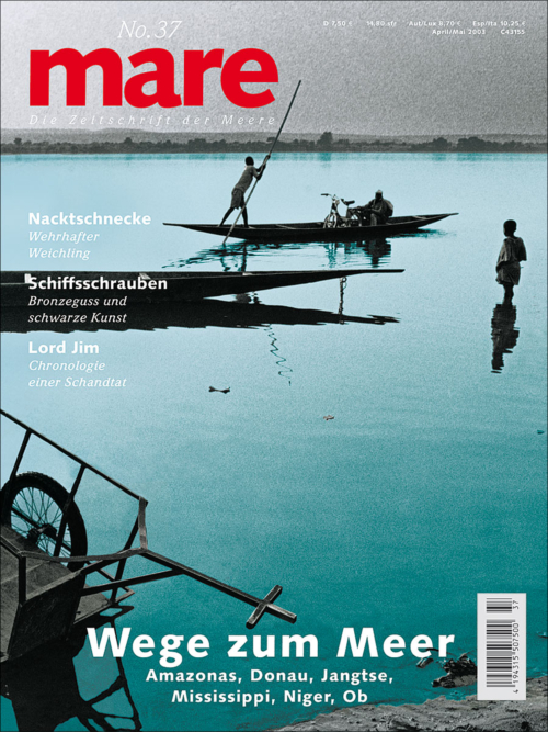 Cover mare 37