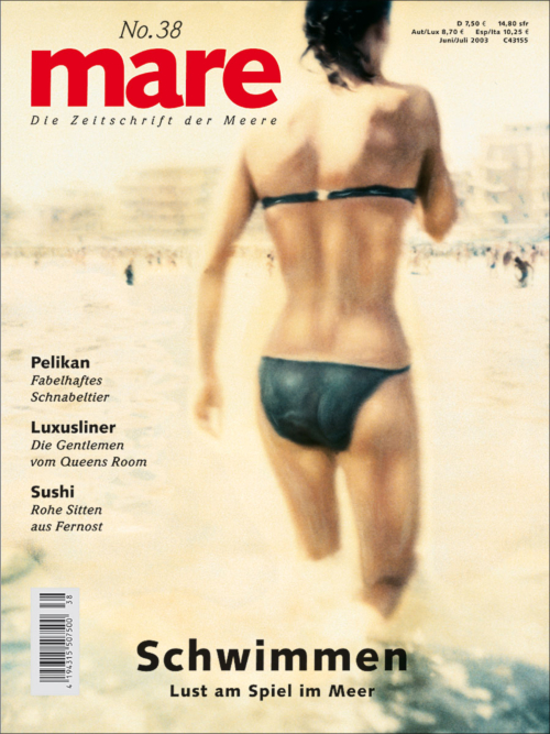 Cover mare 38