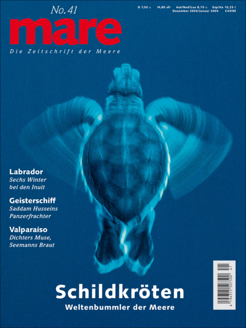 Cover mare 41