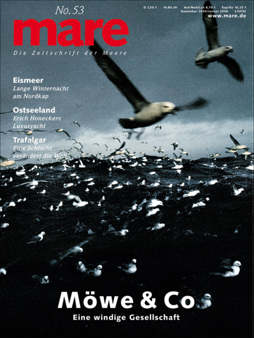 Cover mare 53