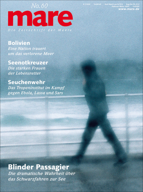 Cover mare 60