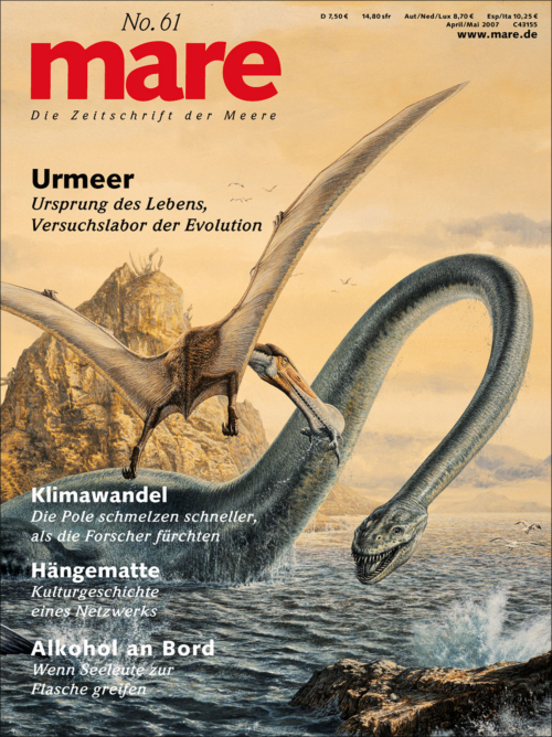 Cover mare 61