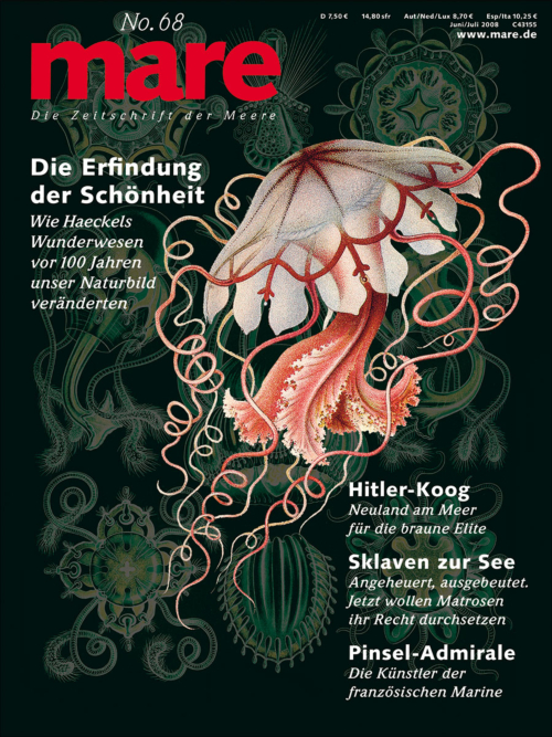 Cover mare 38