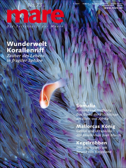 Cover mare 73