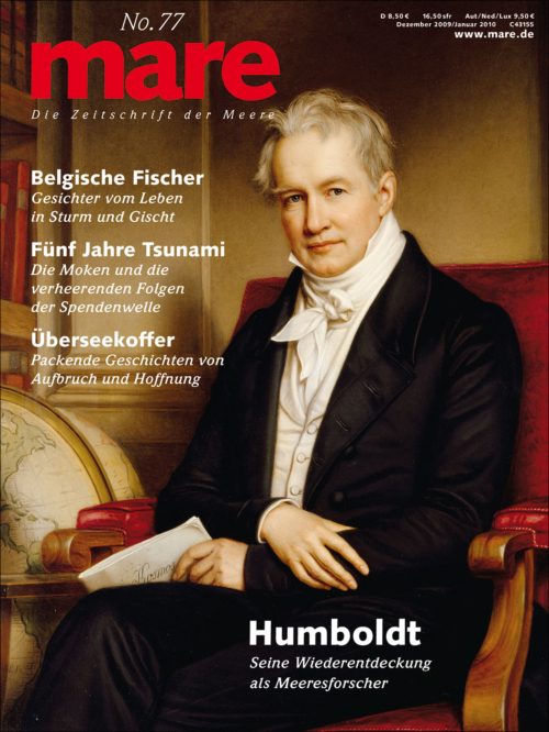 Cover mare 77