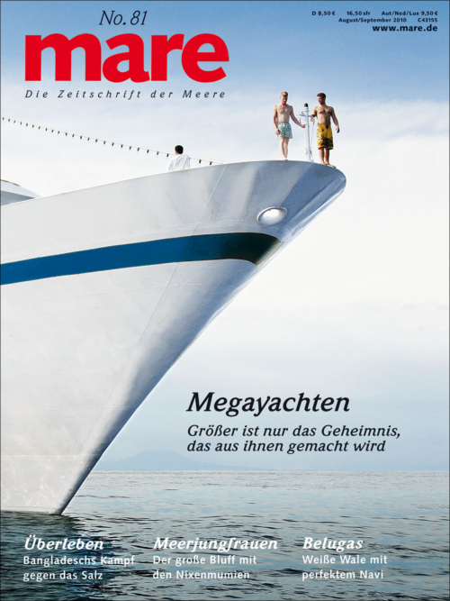 Cover mare 81