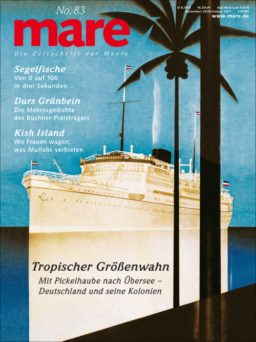 Cover mare 83