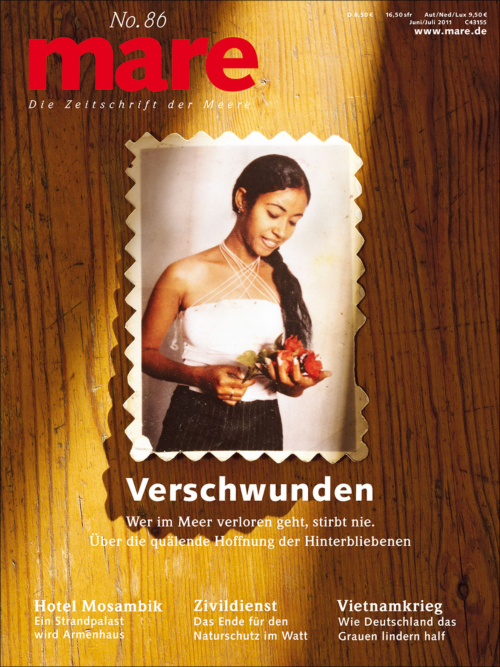 Cover mare 86