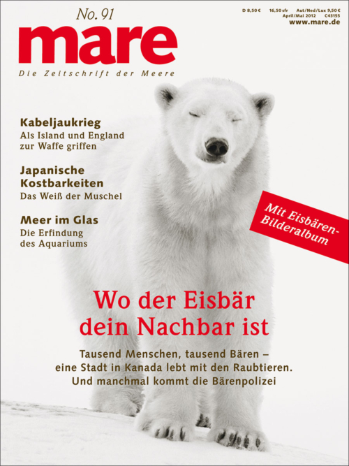 Cover mare 91
