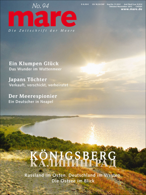 Cover mare 94