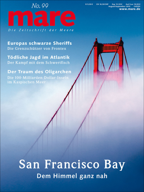 Cover mare 99
