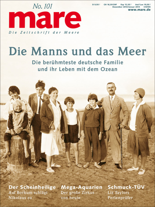 Cover mare 101
