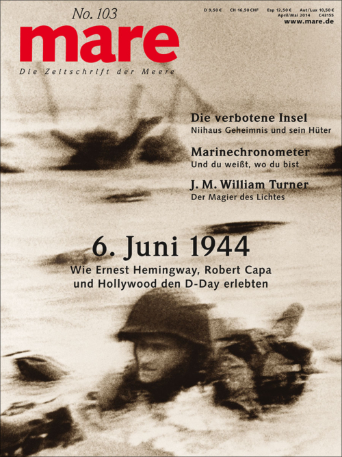 Cover mare 103